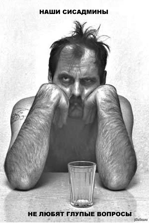 Our sysadmins don't like stupid questions